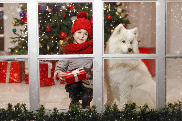 漂亮的小女孩，接近圣诞街 d 大白狗