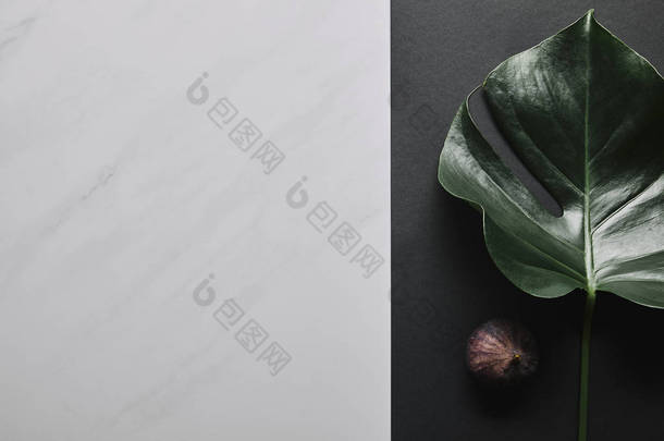 白色大理石背景龟背竹叶和无花果果的黑纸