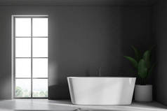 灰色墙壁阁楼浴室内有混凝土地板。一个角白色的浴缸站在窗口附近。它旁边有一个盆栽植物。一个特写。3d 渲染模拟