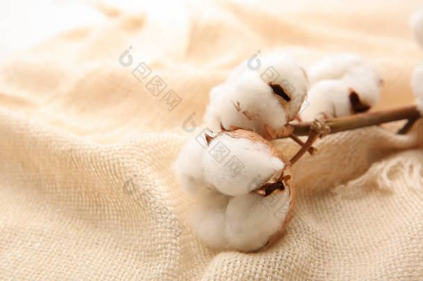 织物上的棉花花 