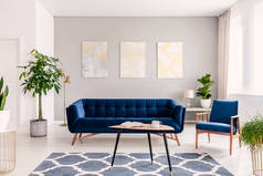 典雅的起居室内有一套深蓝色的沙发和扶手椅。金色和银色的当代绘画在背景墙上。真实照片.