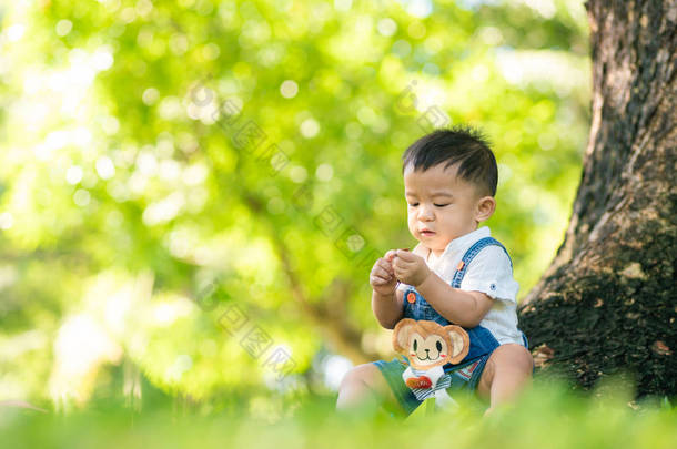 幼儿在<strong>绿地公园</strong>玩耍