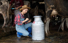 亚洲妇女奶牛场，农业和农业，畜牧业概念 - 年轻妇女或农民与平板电脑电脑和奶牛在奶牛场奶牛场与奶牛挤奶机