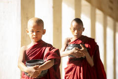 佛教新手在寺庙里与乌姆贝拉一起散步