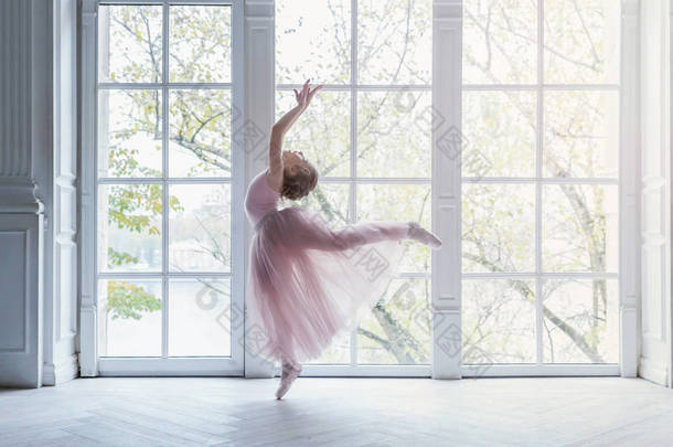 舞蹈课上的年轻芭蕾舞演员