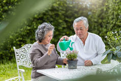 亚洲高级夫妇享受在花园里种植鲜花。退休.