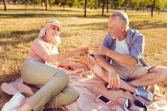放松的退休夫妇外出野餐