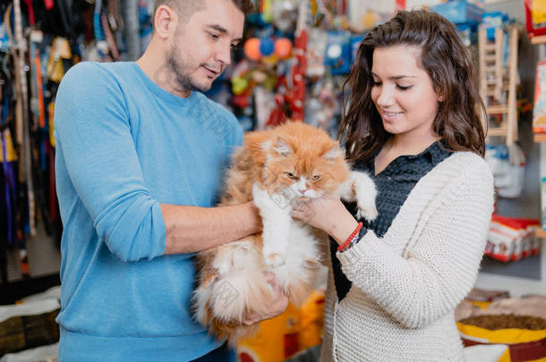 年轻夫妇与他们的波斯猫在宠物店