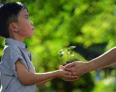 两个手牵手年轻绿色植物