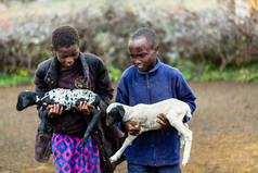 Massai 孩子背着山羊