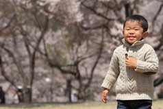 日本男孩和樱花 (3 岁)
