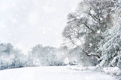 英国农村冬季大雪中的雪景