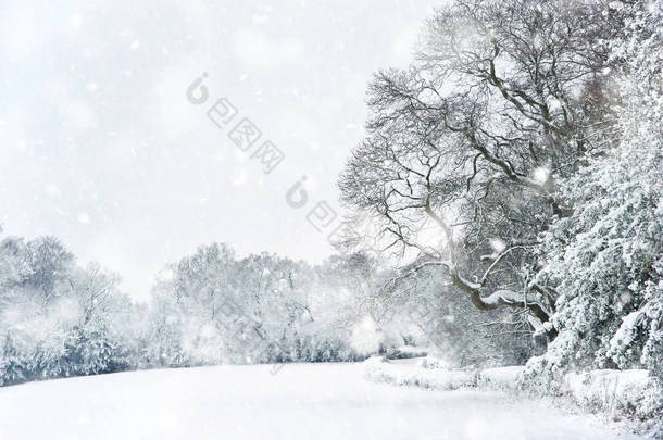 英国农村冬季大雪中的雪景