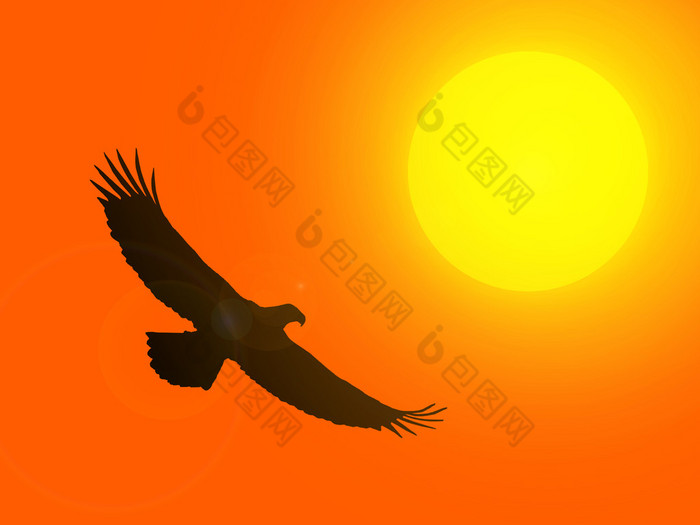 一只鹰在夕阳的剪影黑色剪影图片-包图网企业站