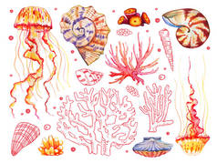 设置与水色和轮廓珊瑚，海贝和水母。 手绘草图