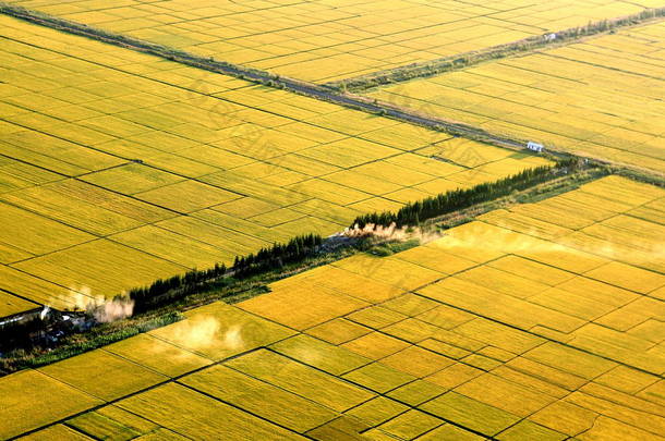 2009年9月1日，中国东北黑龙江省<strong>北大</strong>黄（<strong>北大</strong>黄）被称为