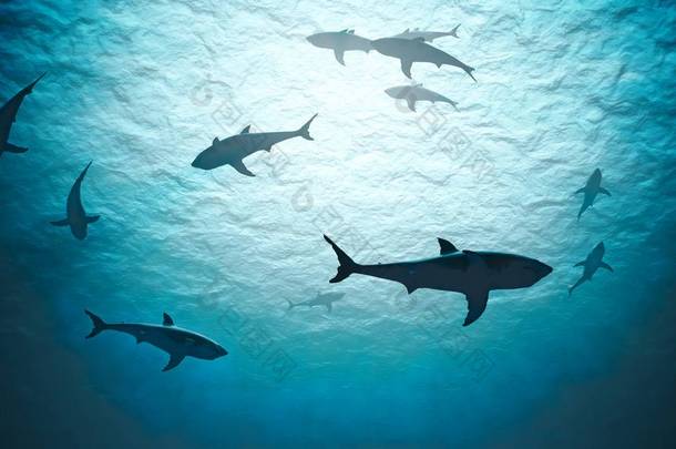 鲨<strong>鱼</strong>在海洋中水下的<strong>剪影</strong>,在明亮的光线下. 