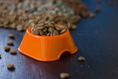 橙色碗里的干猫或狗食