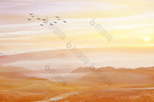 风景图，日落，田野，丘陵，天空中成群的黑鸟
