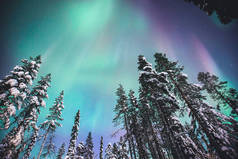 美丽的图画的大规模五彩绿色充满活力的北极光，极光，也知道作为北极光在夜空中拉普兰景观，挪威、 斯堪的那维亚越冬
