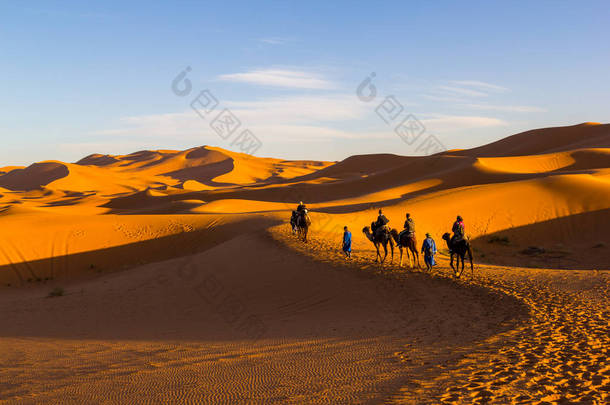 在撒哈拉沙漠, 在撒哈拉沙漠日落时, <strong>骆驼</strong>骑行大篷车沿着沙丘 