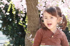 日本女孩和樱花 （2 岁)