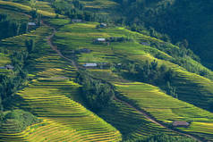 美丽的稻田风光是越南西北部的旅游胜地，位于南韩公园的梯田上