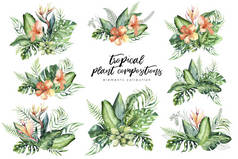 手绘水彩画热带花卉花束组成。异国情调的棕榈叶, 丛林树, 巴西热带植物学元素和鲜花。完美的面料设计。阿罗哈系列.