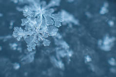 雪花上的自然雪花, 照片真实的雪花