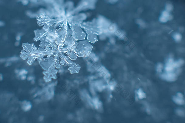 雪花上的自然雪花, 照<strong>片</strong>真实的雪花