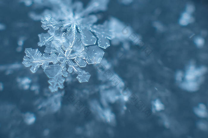 雪花上的自然雪花, 照片真实的雪花