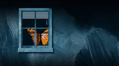 蝴蝶从闭合的窗口后面图形抽象背景
