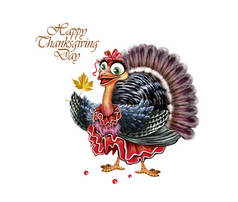 感恩节快乐贺卡与火鸡鸟和文字，在白色背景上孤立的插图