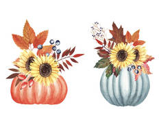 手绘水彩秋花束设置与叶子，浆果，鲜花在南瓜隔离在白色背景.