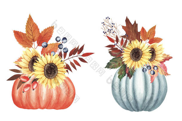 手绘水彩秋花束设置与叶子，浆果，鲜花在南瓜隔离在白色背景.