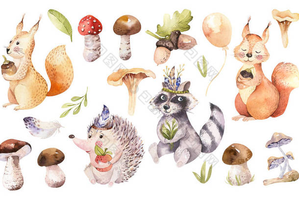 可爱的水彩与手绘动物。<strong>松鼠</strong>, 刺猬, 浣熊与植物和蘑菇 