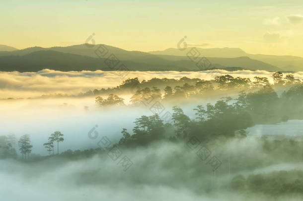 黎明在高原上，天空五彩斑斓，太阳从地平线升起，洒落在布满雾气的小<strong>村子</strong>里，美丽的田园风光笼罩着越南达拉特高原美丽的田园风光