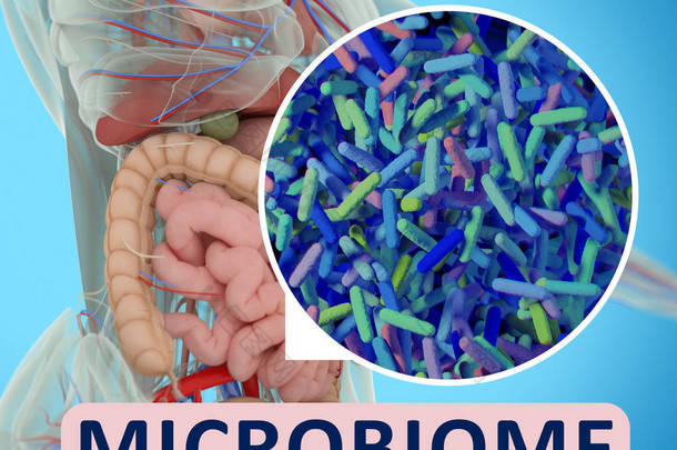 肠道细菌<strong>微生物</strong>组显微镜说明。3d 插图。3d 图像.