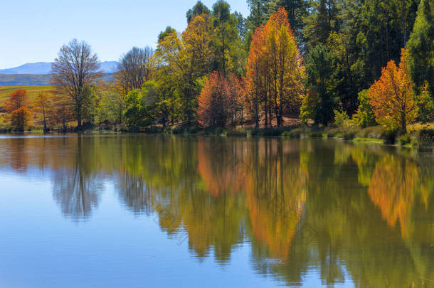 秋天的色彩，在水面上的反映