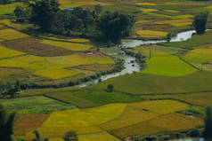  美丽的风景，在玉山 Con 公社 Trung 庆省区曹髦，越南水稻季节黎明.