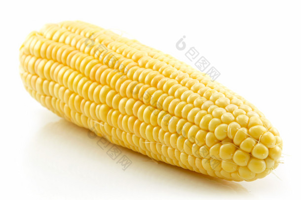 白玉米上的成熟黄玉米