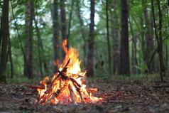 森林篝火.