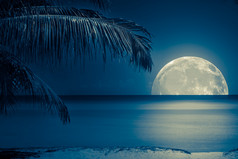 月球上的一个热带海滩水反映