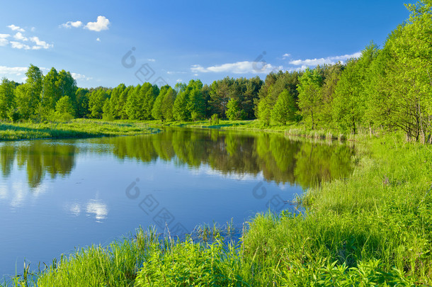 最后的野生环境中。与 narew 河景观.