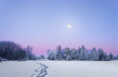 晚上冬季景观与满月