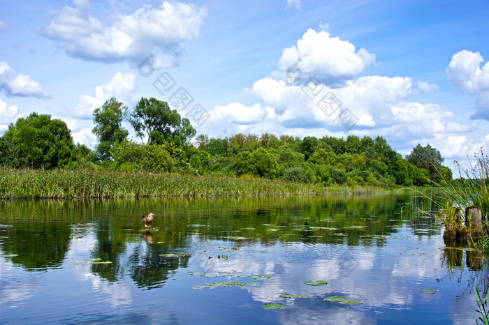 美丽的风景与红河水变蓝的天空和云彩的思考