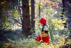 在树林里的小红帽
