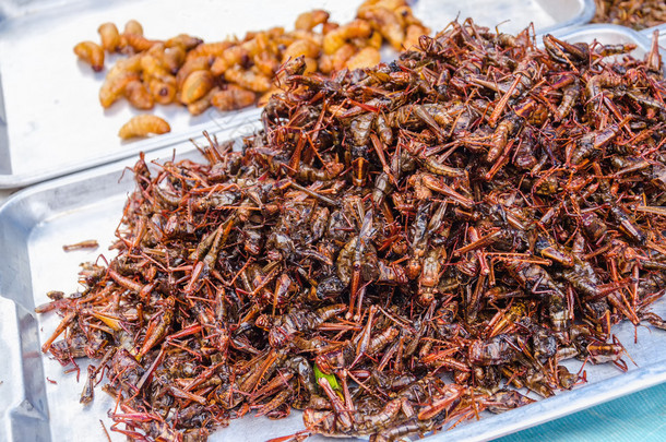 发射了蝗虫和食品市场上的蠕虫