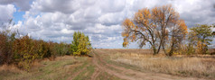 秋天的原野-横幅全景土路