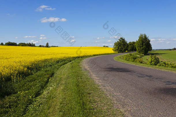 涂柏油的道路  